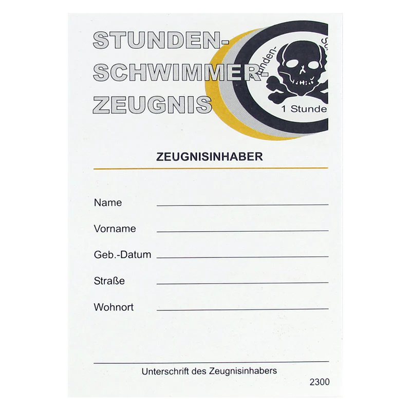 Hauptbild (Vor Optimierung)