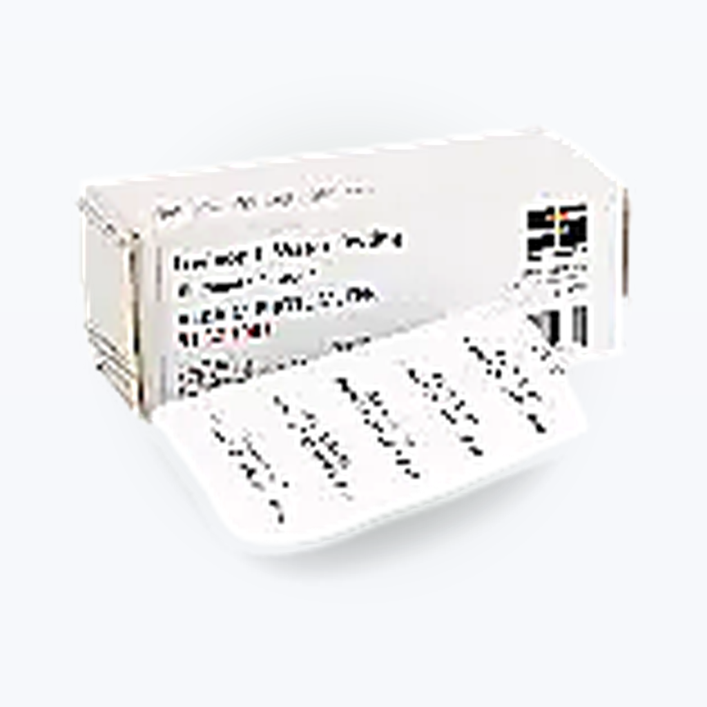 Eisen LR Tabletten, 100 Stück 